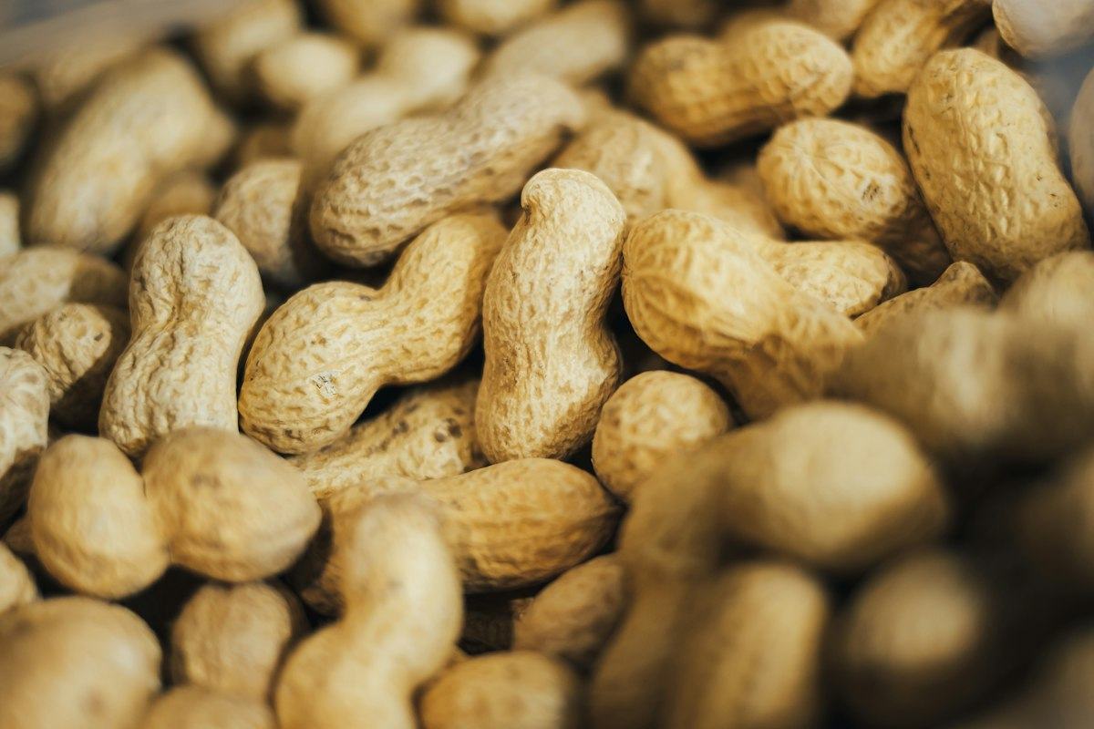Cacahuète