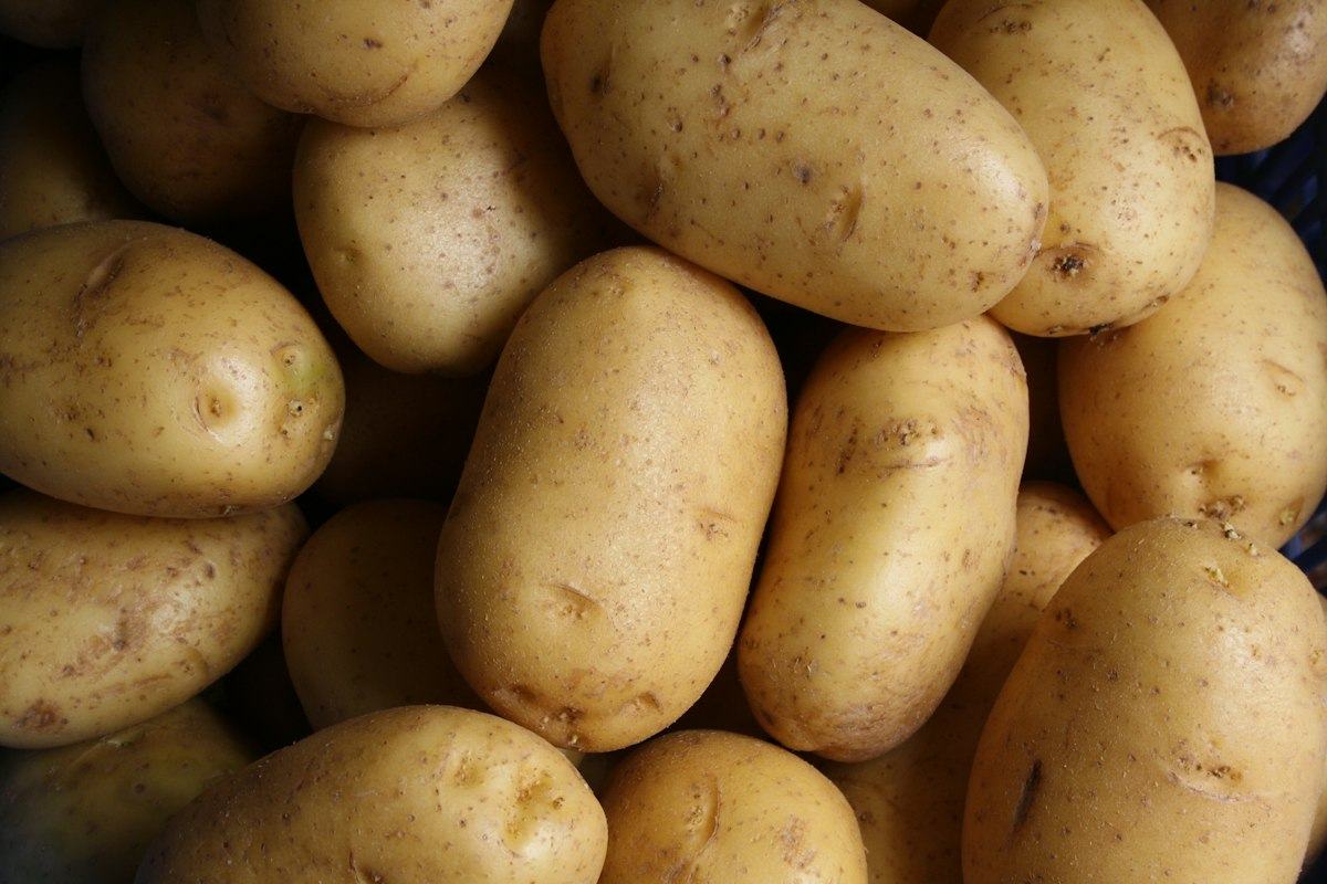 Pomme de terre